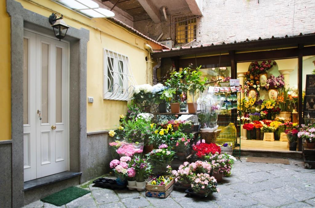 Casa Tonia San Cesareo Apartment Sorrento Cameră foto